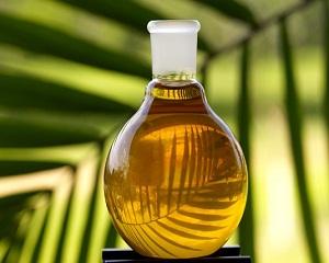 Палмово масло - ползи, възможности, бизнес